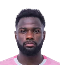 Rodrigue nanitelamino logo