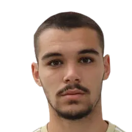 Lazar Stojanović logo