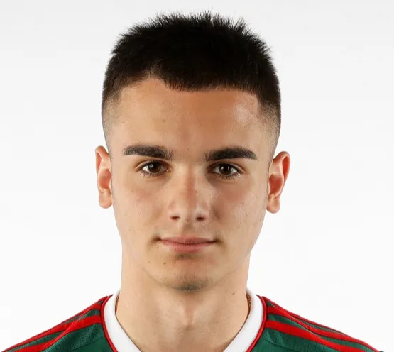 daniil zaretskiy logo