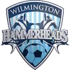 Wilmington Hammerheads