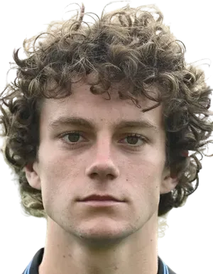 Denzel De Roeve logo