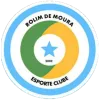Rolim de Moura W logo