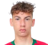 Francisco Domingues logo