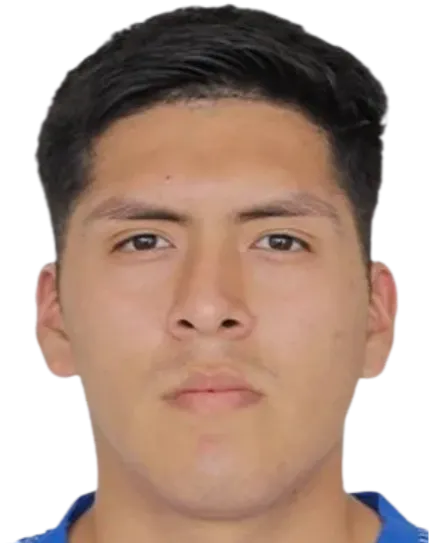 Arthur Alexander Gutiérrez Inga logo