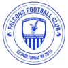 Falcons FC logo