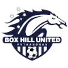 Box Hill United U20 logo