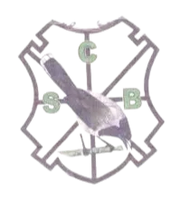 Sporting Braga MA U19 logo