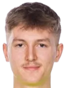 Carl Viktor Johan Dryselius logo