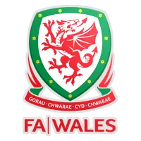 Welsh League Division 2 photo 