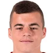 Dragoljub Savić logo