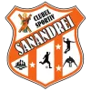 CS Sanandrei Timis logo