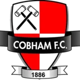 Cobham logo