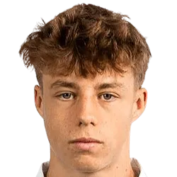 Tibe De Vlieger logo