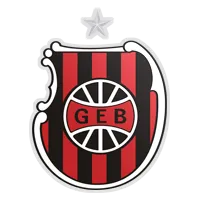 Brasil de Pelotas logo