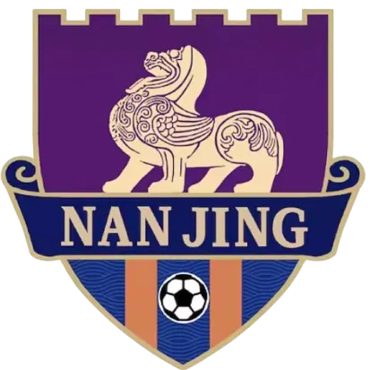 Nanjing Team logo 