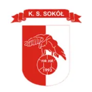 Sokol Bozepole Wielkie logo