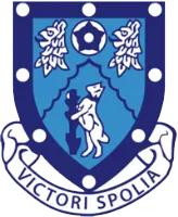 Rugby Town logo
