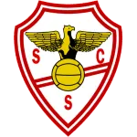 Salgueiros U19 logo