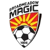 Broadmeadow Magic U20 logo
