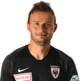 Elsad Zverotić logo