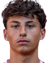 Dion Hofmeister logo