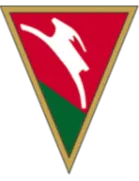Lublinianka Lublin logo