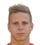 Daniel Prerovsky logo