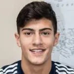 Nicolas Firmino logo