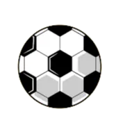 TJ SH Jiretin/Litvinov logo