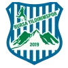 Bursa Yıldırımspor logo