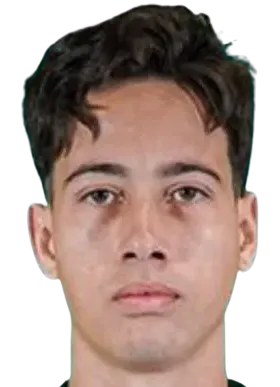 Gabriel Silva·Azevedo Figueredo logo