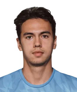 Vildan Vladislavovich Ermilov logo