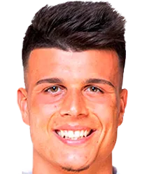 Flavius Daniliuc logo