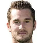 Dominik Schmidt logo