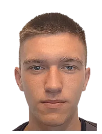 Denys Pidgurskyi logo