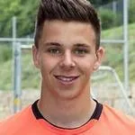 Dominik Draband logo