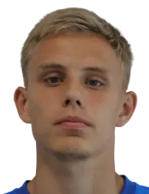 Denis Beskorovaynyi logo