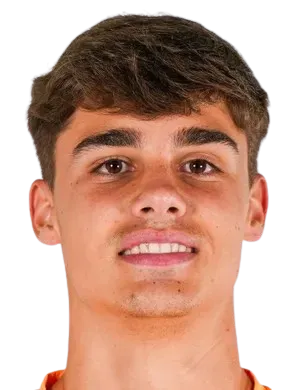 Fernando Pérez Morillo logo