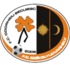 Odorheiu Secuiesc U19 logo