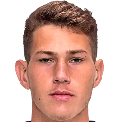 João Victor Tornich photo