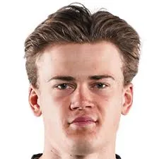 Herman Geelmuyden logo