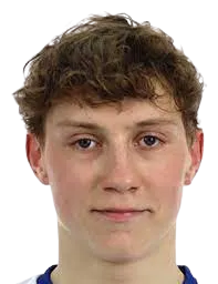 Nikita Lyukevich logo