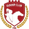 Al-Dumair FC logo