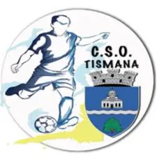 CSO Tismana logo