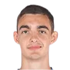 dmitry mikhailenko logo