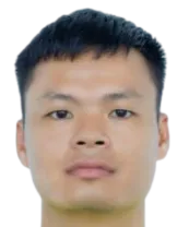 Van Hiep Nguyen logo