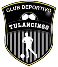 Deportivo Tulancingo logo
