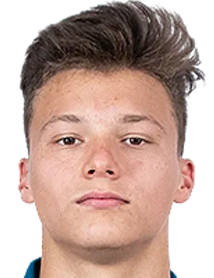 Dmitri Vasiljev logo