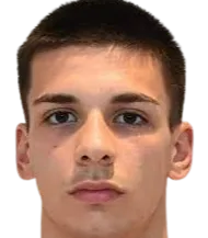 Viktor Radojević logo