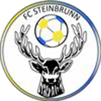 Steinbrun logo